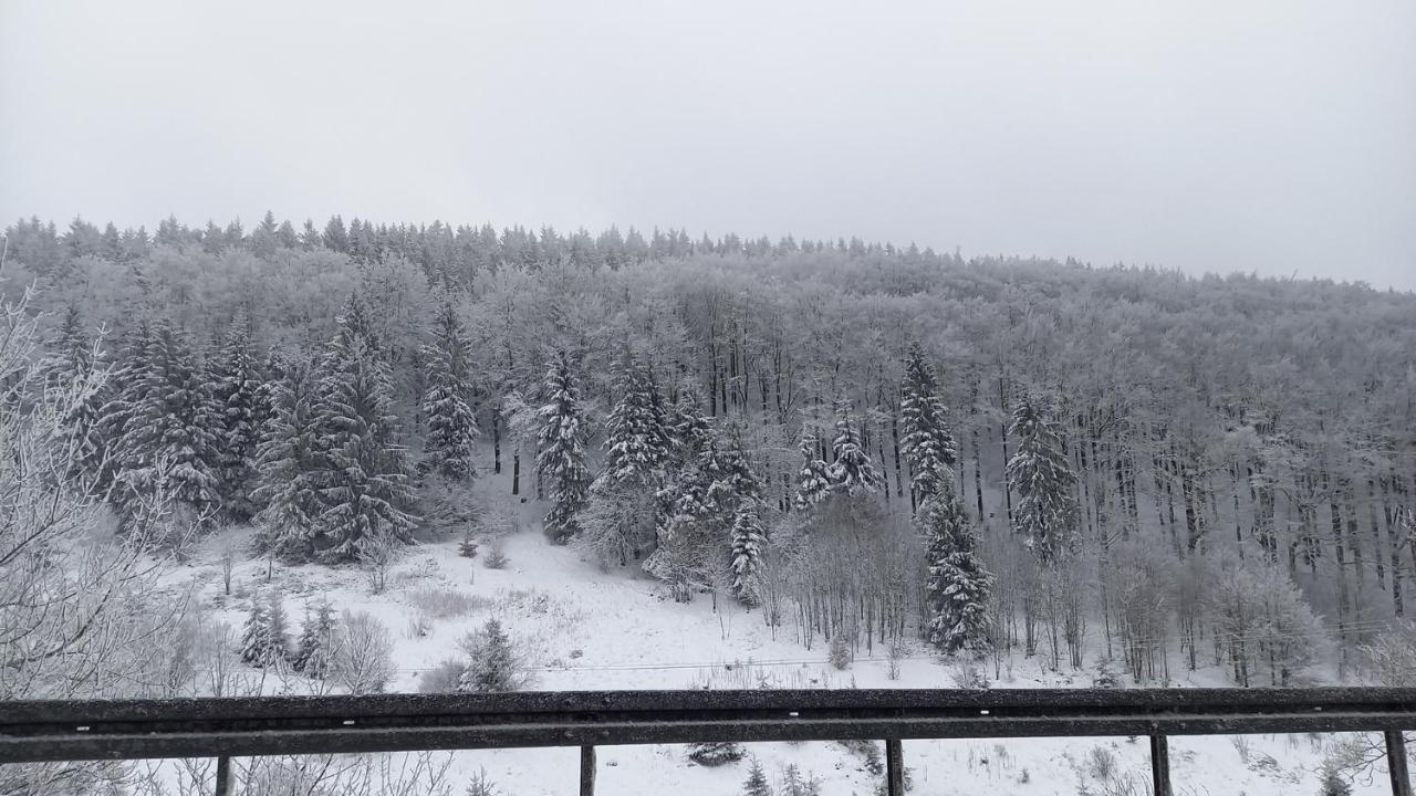 Monteur- Und Ferienwohnung Waldrauschen Fehrenbach Bagian luar foto