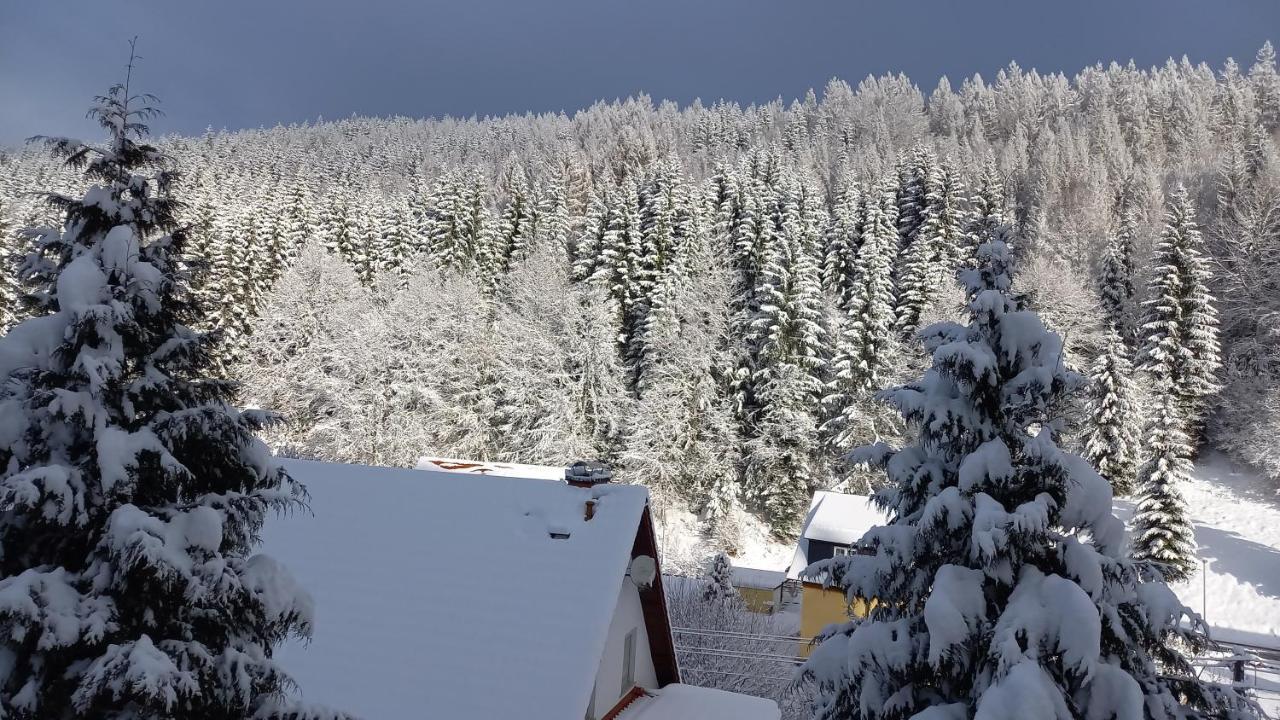 Monteur- Und Ferienwohnung Waldrauschen Fehrenbach Bagian luar foto