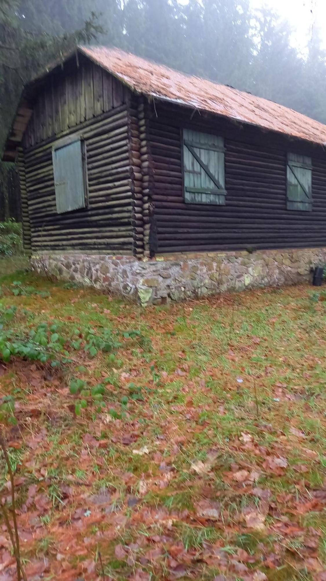 Monteur- Und Ferienwohnung Waldrauschen Fehrenbach Bagian luar foto