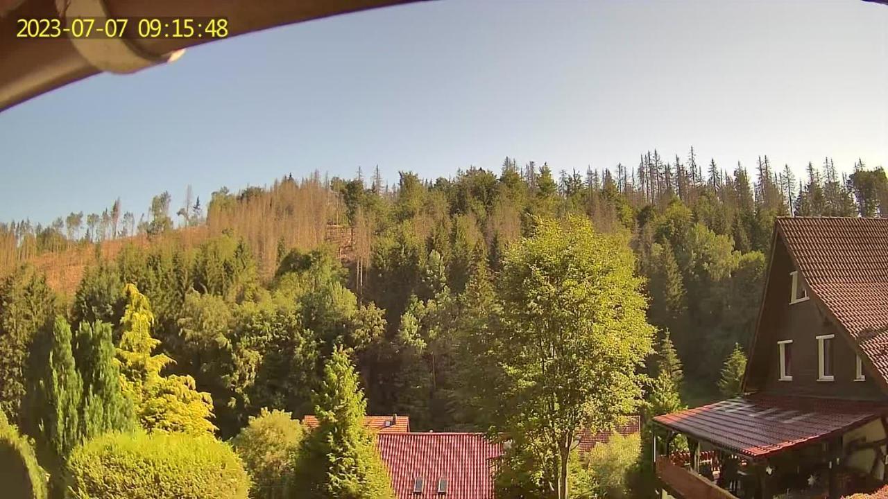 Monteur- Und Ferienwohnung Waldrauschen Fehrenbach Bagian luar foto