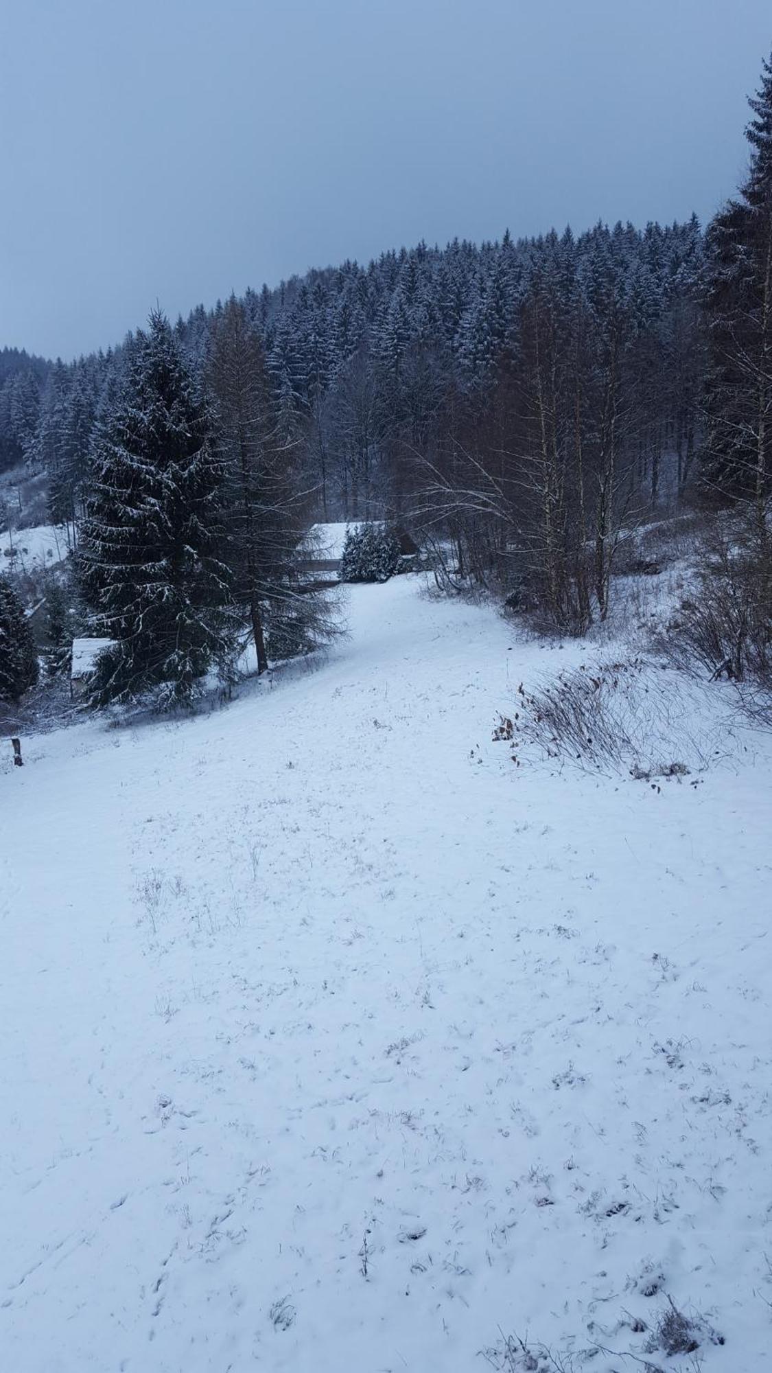 Monteur- Und Ferienwohnung Waldrauschen Fehrenbach Ruang foto