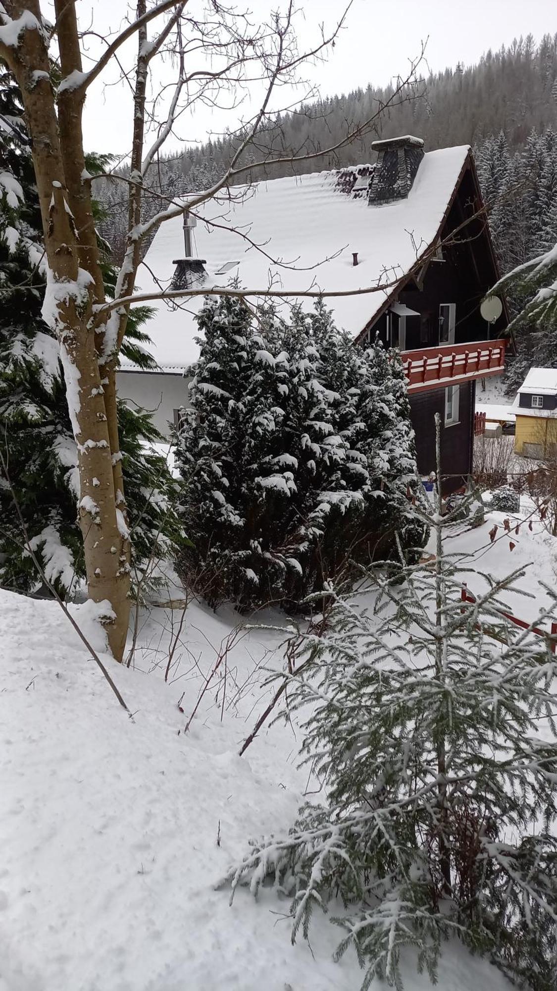 Monteur- Und Ferienwohnung Waldrauschen Fehrenbach Ruang foto