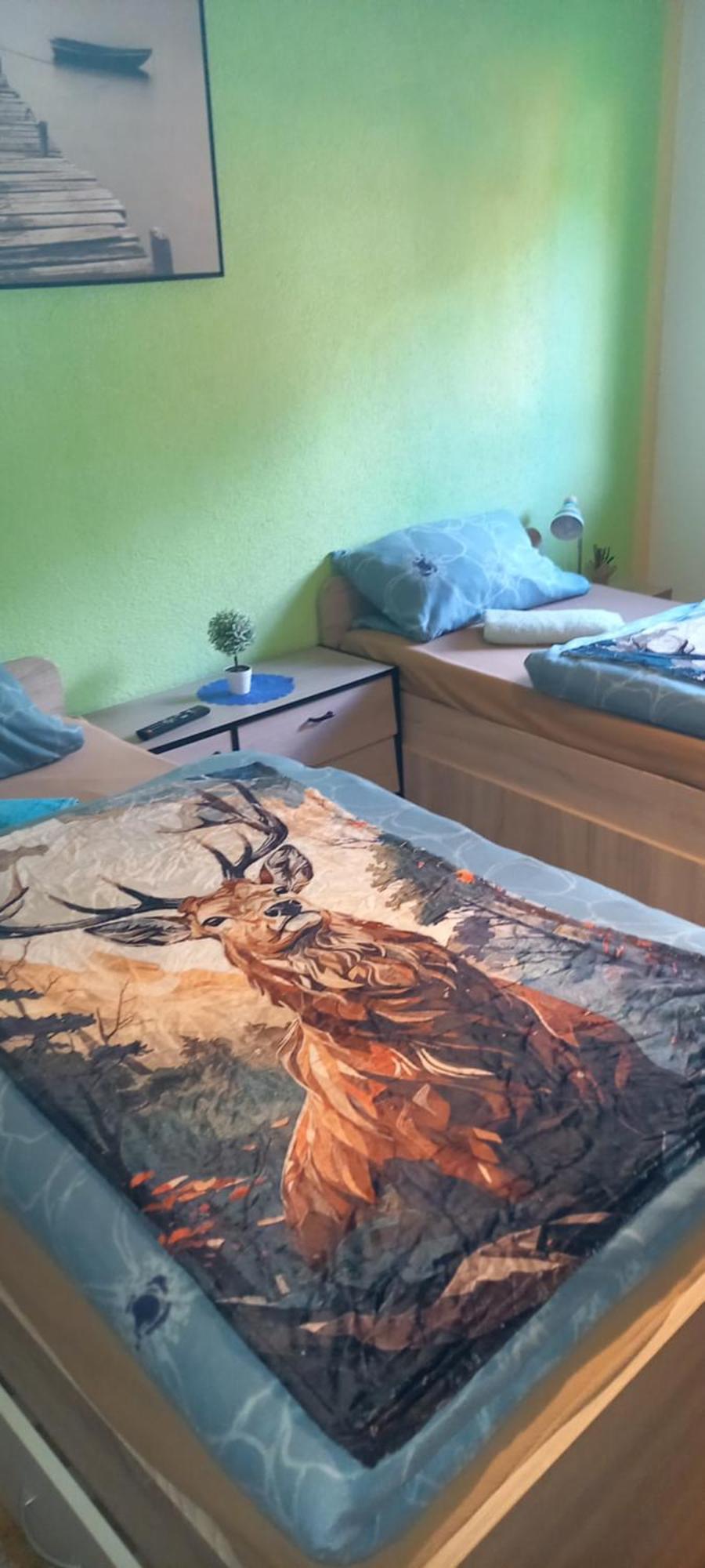 Monteur- Und Ferienwohnung Waldrauschen Fehrenbach Bagian luar foto
