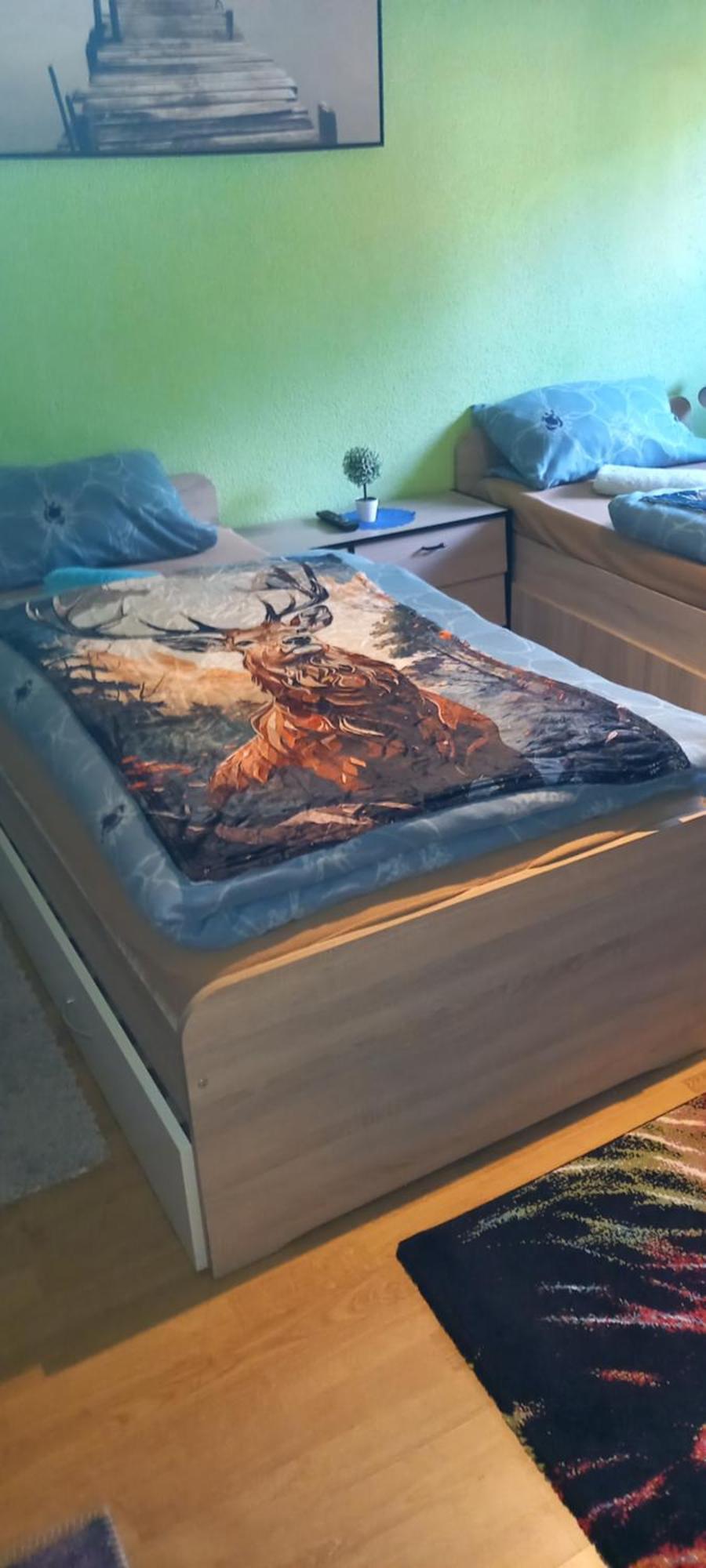 Monteur- Und Ferienwohnung Waldrauschen Fehrenbach Bagian luar foto