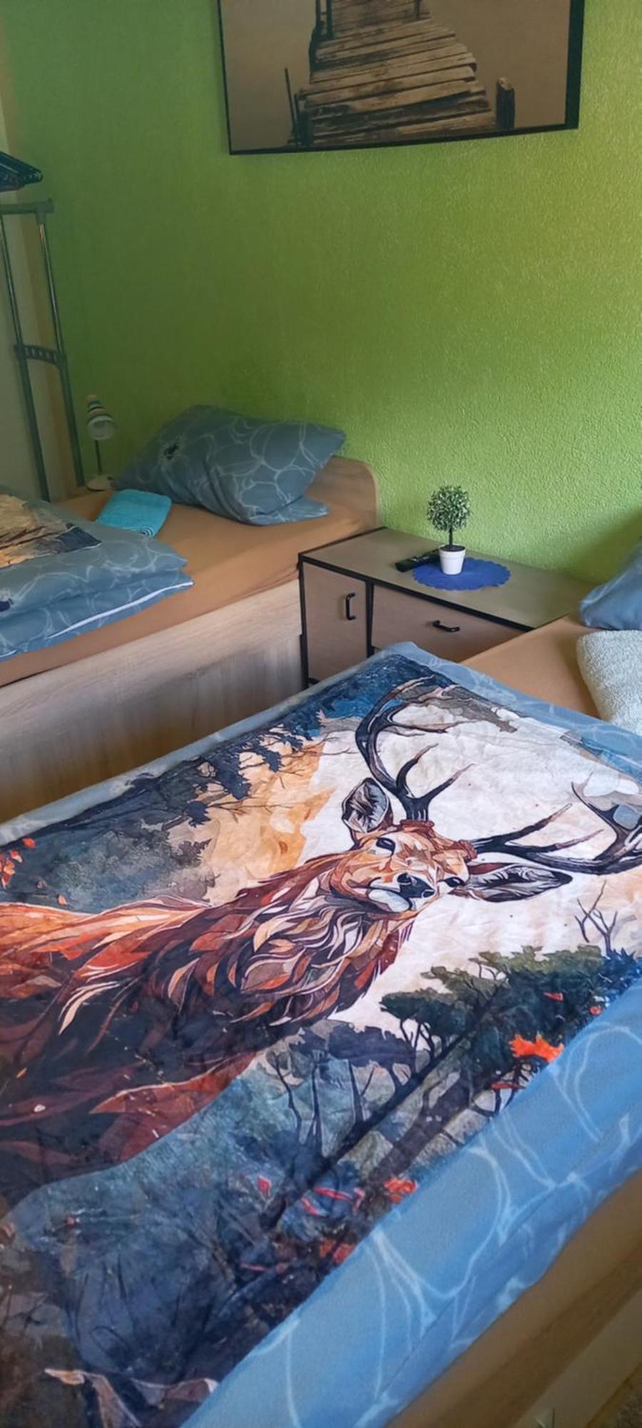 Monteur- Und Ferienwohnung Waldrauschen Fehrenbach Bagian luar foto